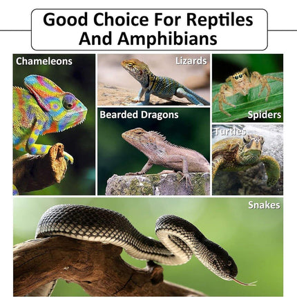 Reptile Bedding Substrate for Lizard Snake Tortoise Natural Bark Material