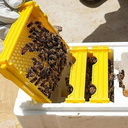 Foam Beekeeping Breeder Box Pollination Bucking Box Beehive Tool