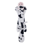 Dairy cows