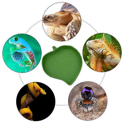 Leaf Shape Reptile Feeding Dish - Natural Food and Water Bowl