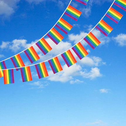 20x 5M Rainbow String Flag Gay Lesbian Pride LGBT Mardi Gras Party Banner Outd - Aimall