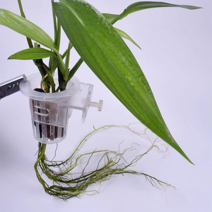 Adjustable Wall Mounted Aquatic Plant Cup for Emersed Plants Water Grass Holder