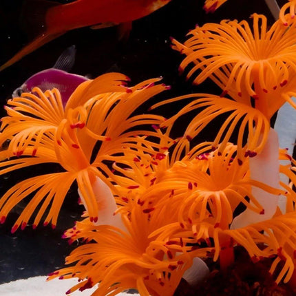 Soft Silicone Coral Aquarium Decoration Odor-Free Fish Tank Scenery Simulation