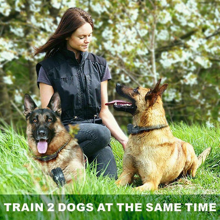 Electric Dog Pet Training E-Collar Obedience Rechargeable Remote Control 800M AU - Aimall