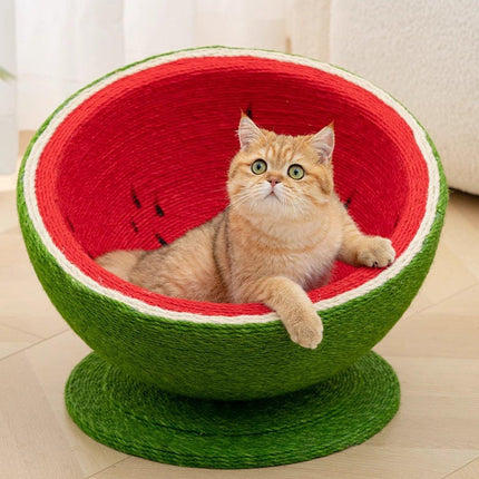 Watermelon Cat Scratching Pot Board All in One Scratcher Toy for Cats Kitten