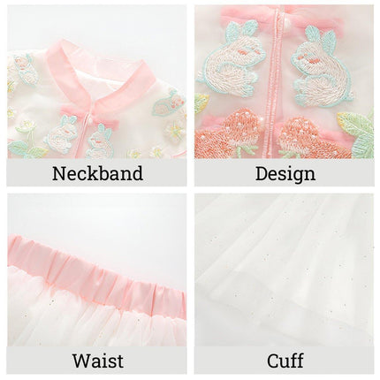 Girls Autumn Hanfu Dress Traditional Chinese Style Skirt Outfit for Daily Wear