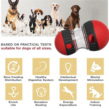 Slow Feeder Dog Toy Rolling Food Ball Funnel Pet Training Interactive Treat Toy