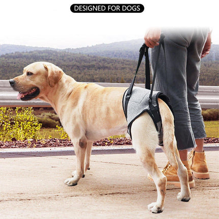Decompression Back Leg Strap for Injured and Older Dogs Support Harness Aid