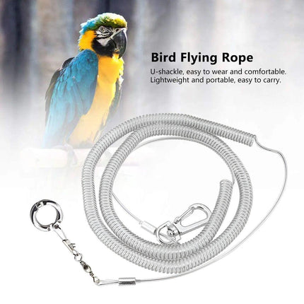 Parrot Leg Ring Anti Slip Bird Anklet Elastic Rope with Alloy Fasteners Supplies