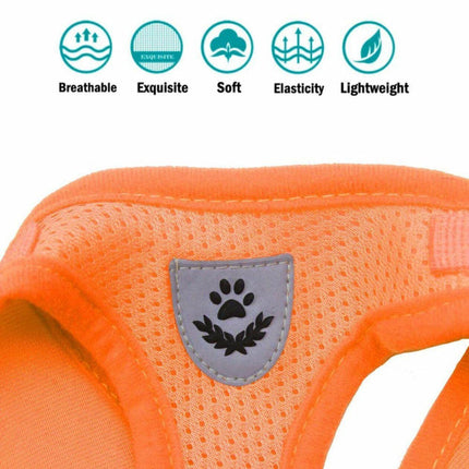 M Size Pet Dog Cat Puppy Soft Leash VEST Mesh Breathe Adjustable Harness Braces Clothes - Aimall