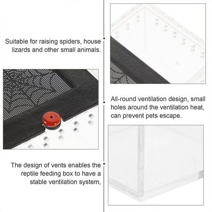  Lizard Reptile Breeding Box