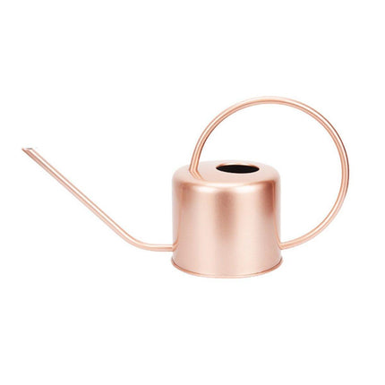 Large Capacity Metal Watering Kettle Retro Garden Spray Pot with Long Spout
