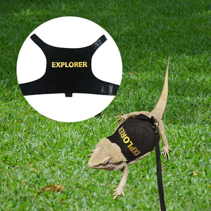 Lizard Clothing with Lead Rope Outdoor Climbing Pet Harness Comfortable Design