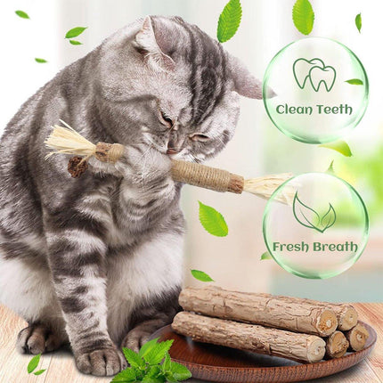 Cat Toys Silvervine Chew Stick Kitten Treat Catnip Toy Grinding Tooth Cleaning - Aimall