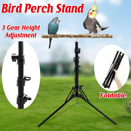 Parrot Activity Stand Pet Bird Stand with Stick Perch for Birds Play and Rest