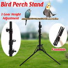 Parrot Activity Stand Pet Bird Stand with Stick Perch for Birds Play and Rest