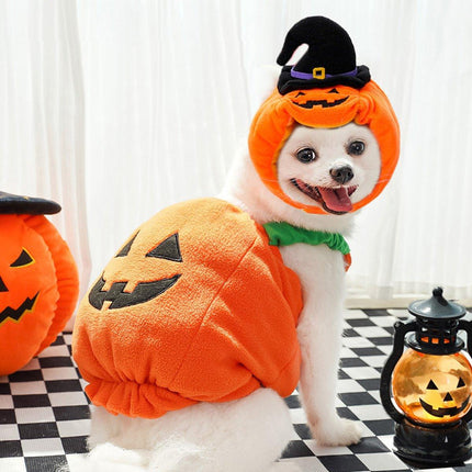 Dog Cat Pet Pumpkin Fancy Dress Outfits Halloween Xmas Cosplay Costume Clothes