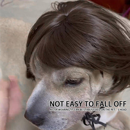 Pet Wig for Dogs and Cats Costume Accessory Pet Supplies for Halloween Parties