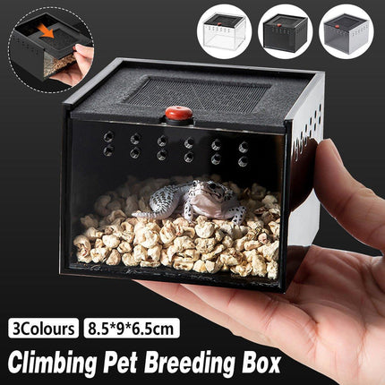  Lizard Reptile Breeding Box