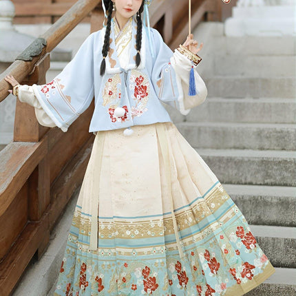 Ming Dynasty Hanfu Female Cashmere Thick Short Jacket Chinese Style Winter Coat