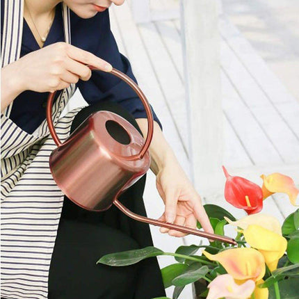 Large Capacity Metal Watering Kettle Retro Garden Spray Pot with Long Spout