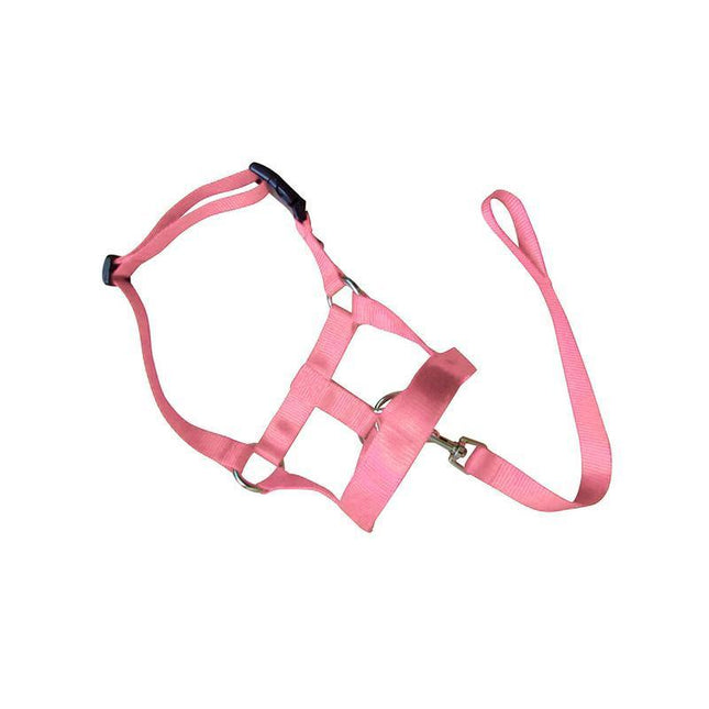Pink Dog Training Head Collar Halter Stop Pulling Training Tool Harness Strap Leader - Aimall
