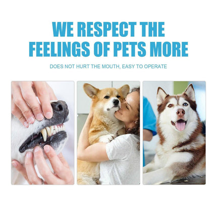 Pet Toothpaste Dog Cat Fresh Breath Tartar Removal Oral Care Edible Cleaning