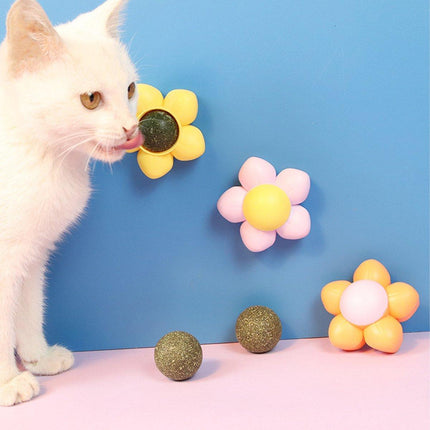 2PCS Cat Toy Catnip Ball Flower Tooth Cleaning Grinding Chew Kitten