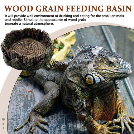 Reptile Drinking Basin Resin Turtle Snake Lizard Feeding Dish Bowl Water Feeder