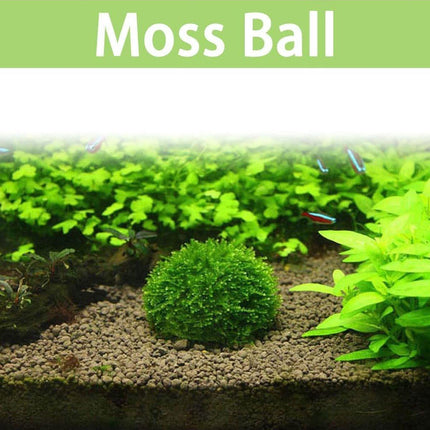 3pcs Aquarium Plastic Moss Ball Fish Decoration Aquatic Plant Accessories