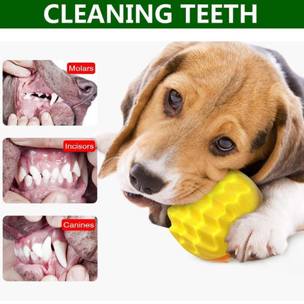 Dog Chew Ball Toy Elastic Teething Ball with Sound Interactive Puppy Play