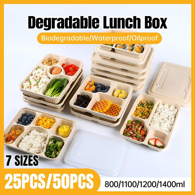 25/50pcs Biodegradable Lunch Box Microwaveable Tray with Compartment Paper Lid