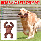 Durable Dog Chew Toy for Teething Nylon Bone Relieves Anxiety Teeth Cleaning Aid