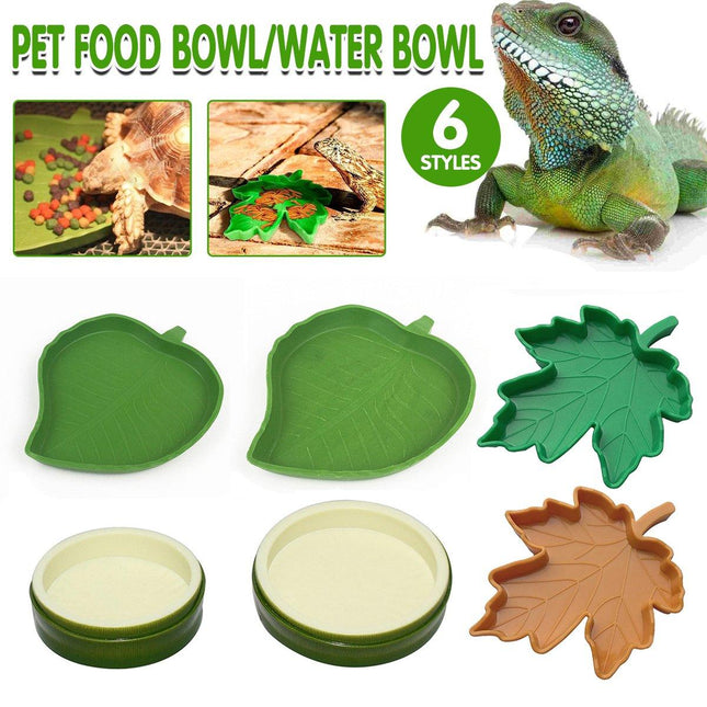 Leaf Shape Reptile Feeding Dish - Natural Food and Water Bowl
