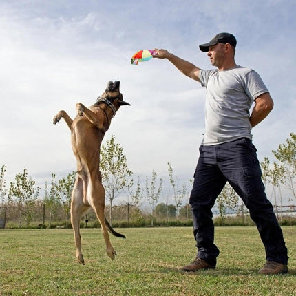 Interactive Dog Frisbee Puppy Teething Toy Pet Training Fetch Toy Outdoor