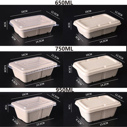 50PCS Square Disposable Lunch Box Thickened Takeout Salad Bowl Natural Colour
