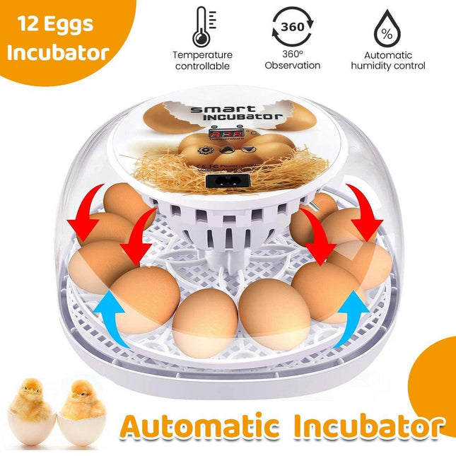 Automatic Small Egg Incubator for Chicken Pigeon Efficient Breeding Equipment