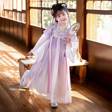 Girs Ancient Chinese Traditional Hanfu Dress Tang Ming Dynasty Costume - Aimall