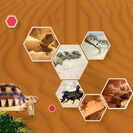 Pet Sand for Tortoises Snakes Lizards Spiders Multi-colour Reptile Habitat Decor