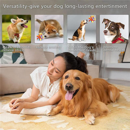 Snuffle Ball Interactive Dog Toy Portable Foraging Skills Slow Feeder Training - Aimall