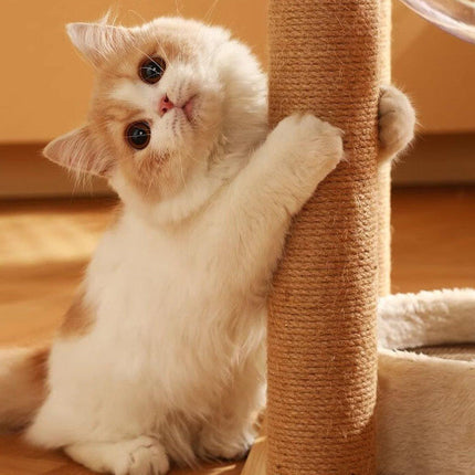 2pcs Sisal Cat Scratching Post Climbing Frame Replacement Pole for Cats Activity