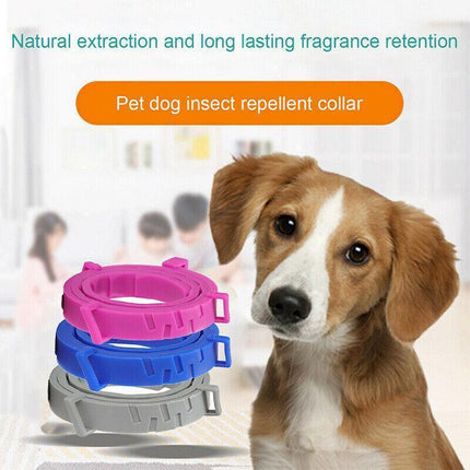 Long Adjustable Pet Anti Flea Tick Neck Collar For Dog Cat Kitten 8 Months Protect - Aimall
