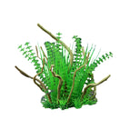 CM1904-Green