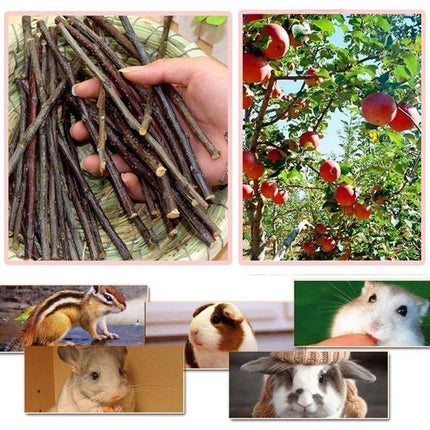 Natural Rabbit Molar Snacks Hamster Branches Sweet Bamboo Grinding Teeth Wood