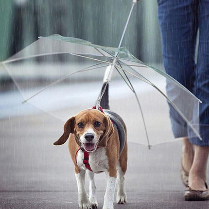 Pet Dog Transparent Umbrella 30 inch Diameter With Dog Leash For Rain Walking Outdoor