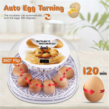 Automatic Small Egg Incubator for Chicken Pigeon Efficient Breeding Equipment