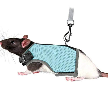 Small Animal Harness Guinea Pig Forret Hamster Rabbit Squirrel Vest Clothes Lead M Size - Aimall