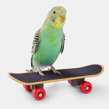 2pcs Parrot Finger Scooters Toys Interactive Parrot Play Scooter Set for Birds