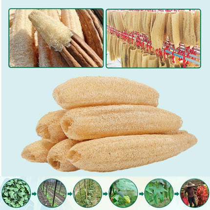 5Pcs Natural Loofah Luffa Loofa Exfoliating Shower Sponge Body Bath Scrubbers - Aimall