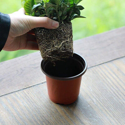100PCS Plastic Plant Flower Garden Pots Nursery Seedlings Pot Growing Container - Aimall